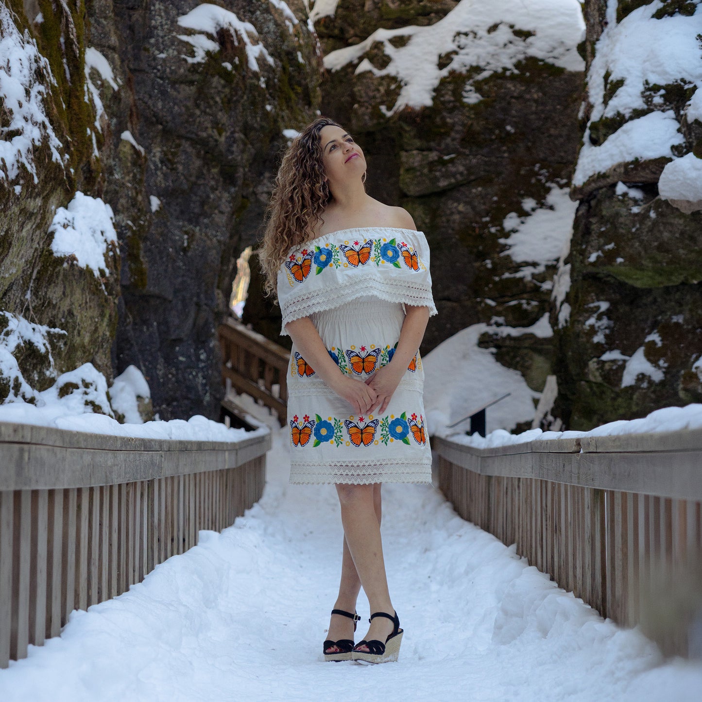 Ivory Monarch Butterfly Embroidered Dress