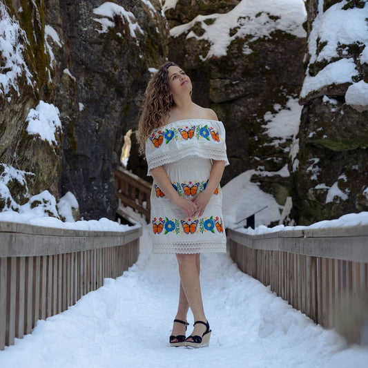Ivory Monarch Butterfly Embroidered Dress